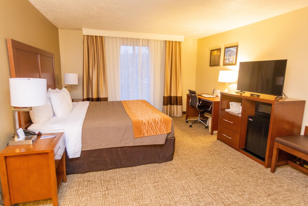 Comfort Inn Salt Lake City Downtown - photo 9