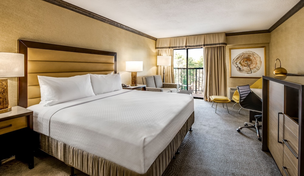 Crowne Plaza Resort Asheville by IHG - photo 14