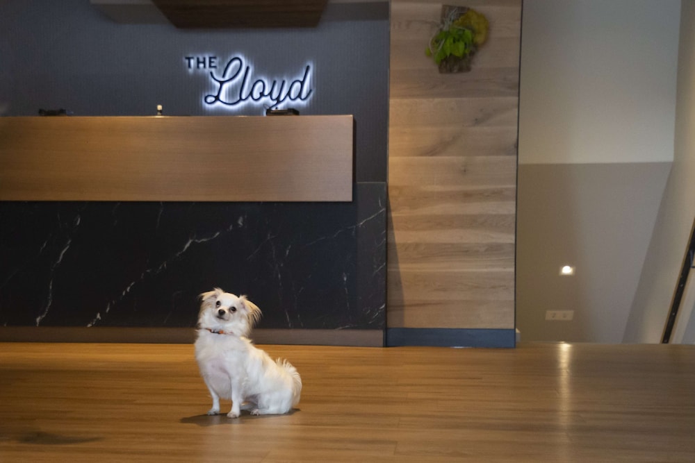 The Lloyd Stamford Tapestry Collection by Hilton - photo 3