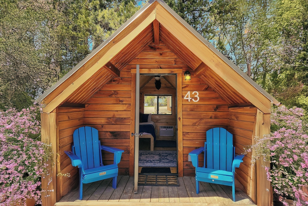 Blue Buffalo Resort - photo 22