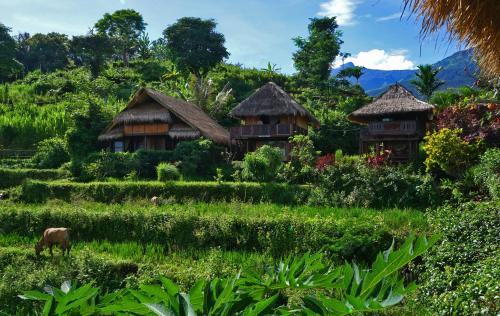 Rinjani Mountain Garden - carbon neutral hotel in Bayeuen