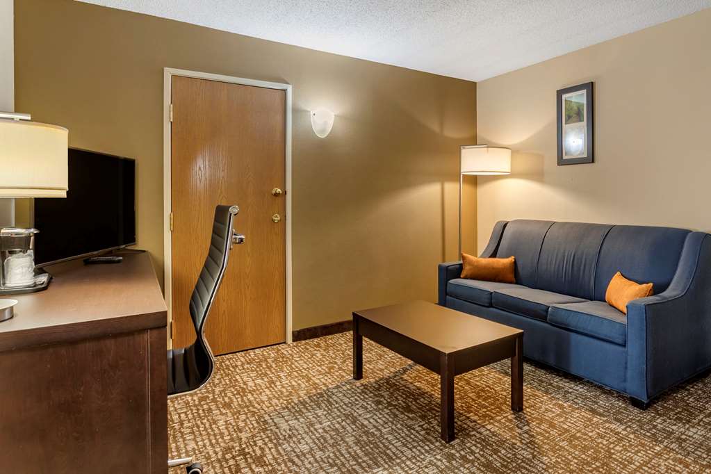 Comfort Inn Paducah I 24 - photo 32