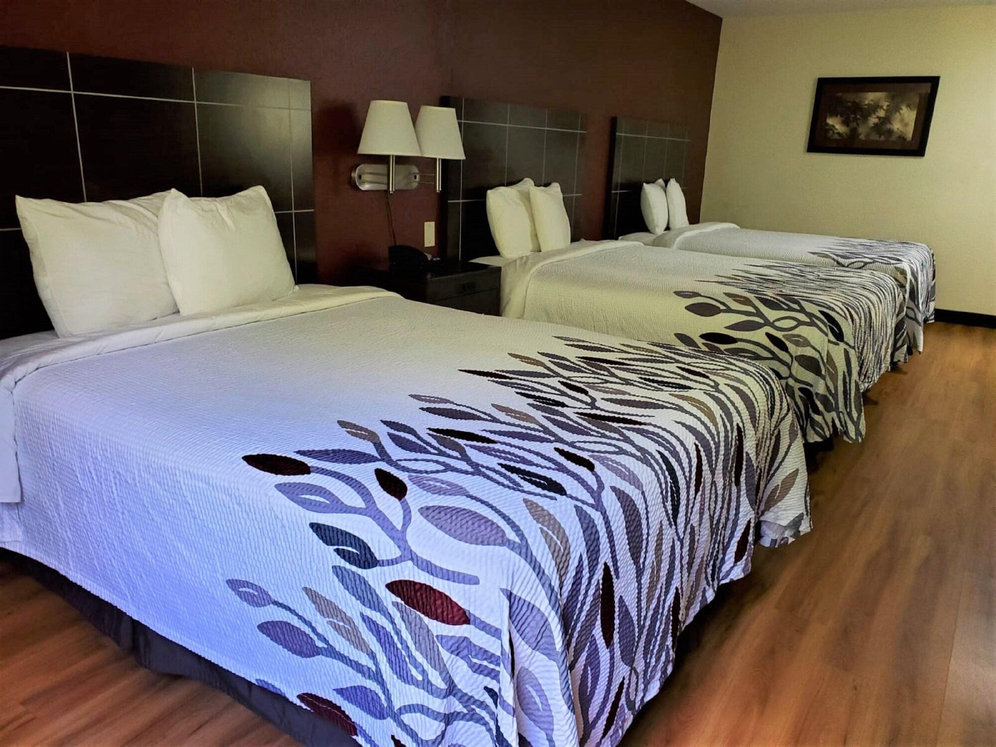 Red Roof Inn San Marcos - photo 22