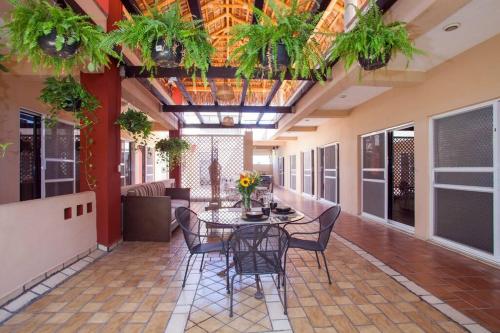 Terraza Studios - last minute hotel in Cabo San Lucas