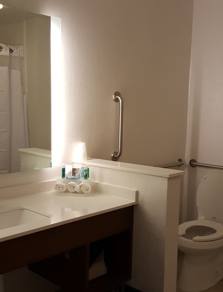 Holiday Inn Express & Suites Toledo West by IHG - photo 2