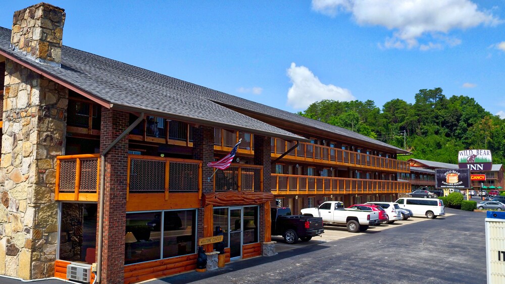 Wild Bear Inn - photo 20