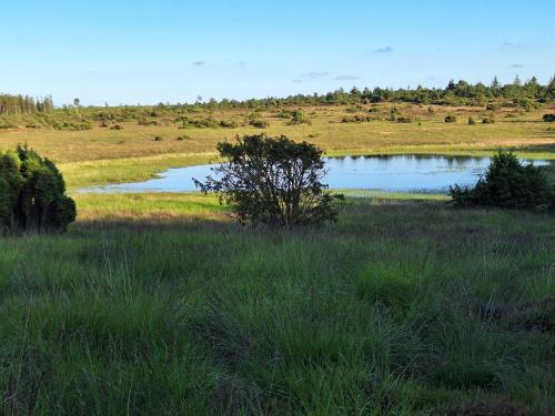 Rødsten Gæstegård in Ulfborg, Denmark