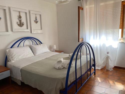 Molly House — Scario — photo 2