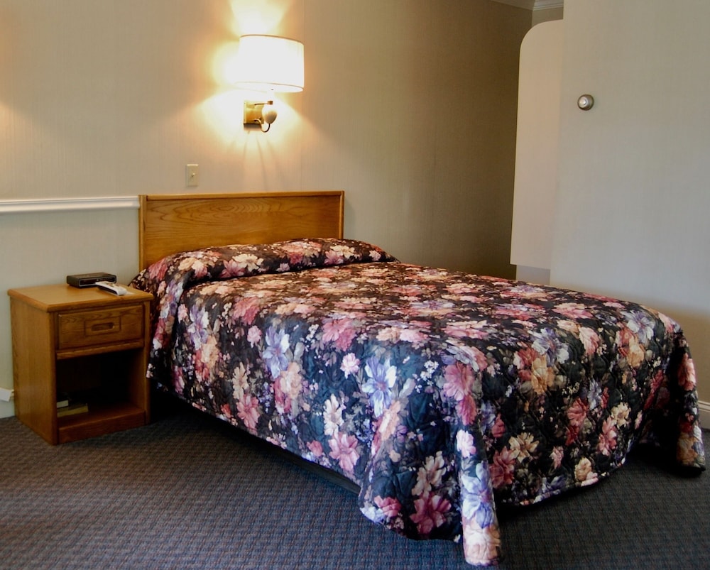 T Bird Motor Inn - photo 21