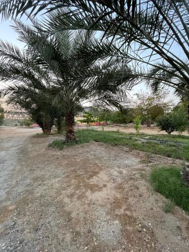 Wadi Alsidra in Unknown City, United Arab Emirates