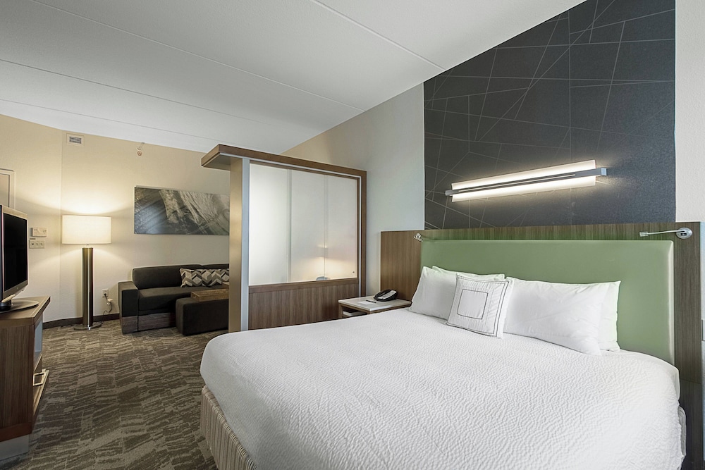 SpringHill Suites by Marriott Tampa North I 75 Tampa Palms - photo 7