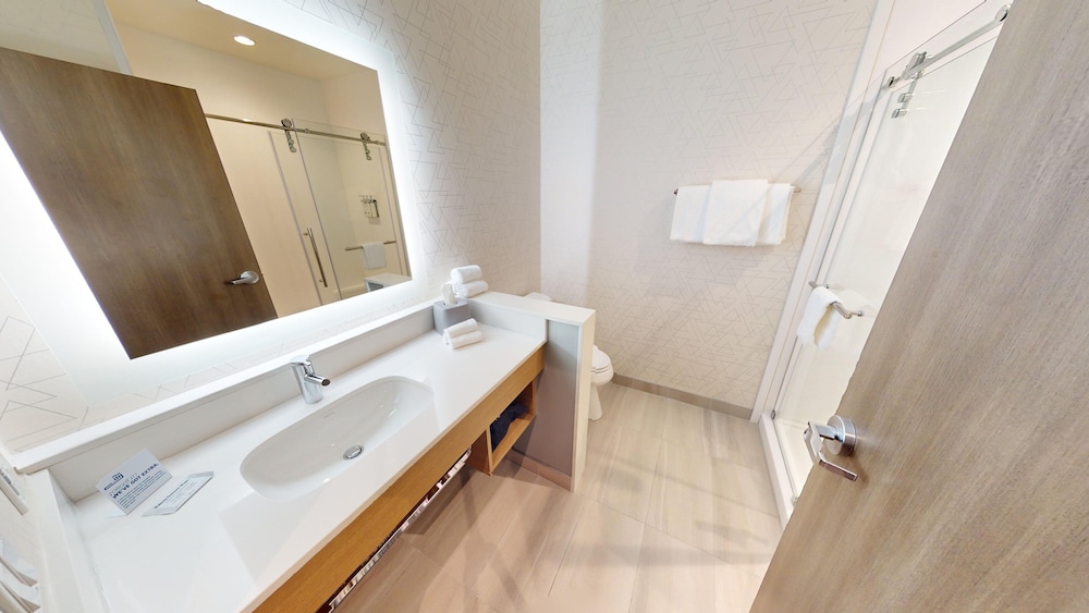 Holiday Inn Express & Suites Chicago Schaumburg an IHG Hotel - photo 31