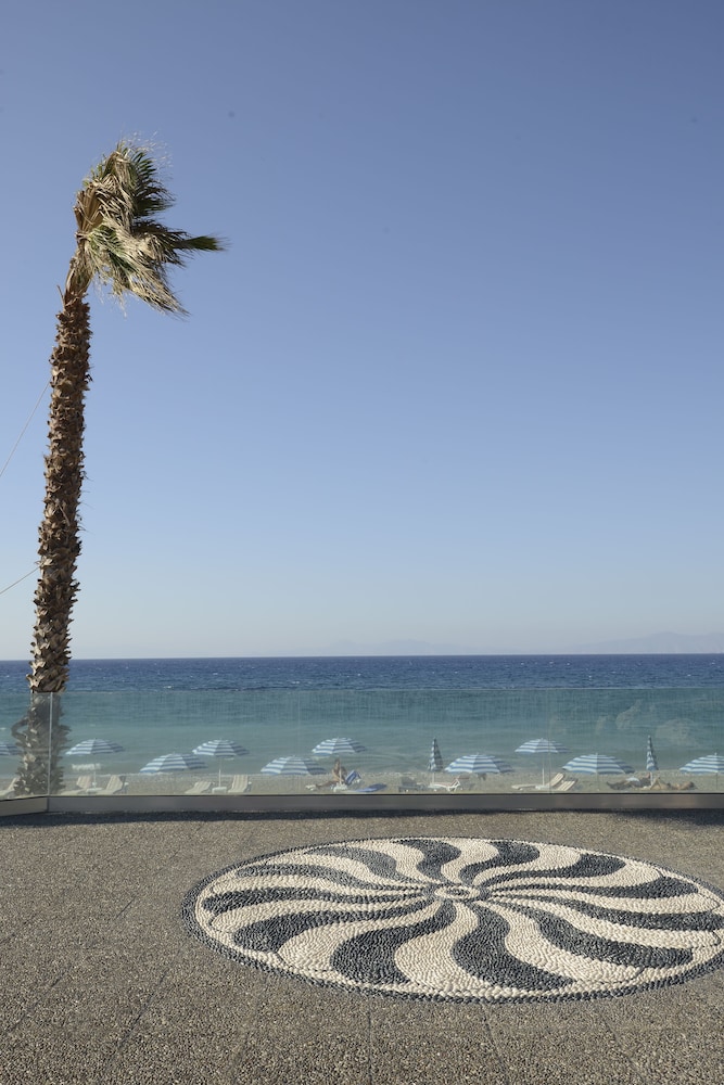 שטחי חוץ / גן