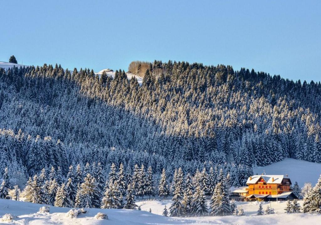 Hotel Da Barba — Asiago