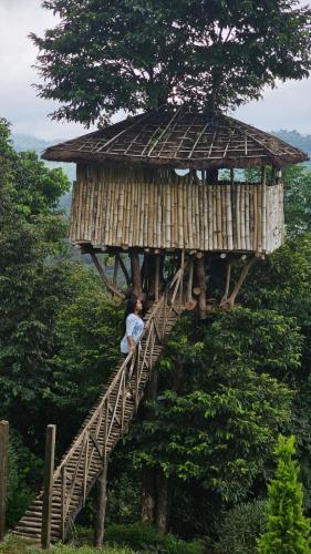 Palkulam heights — Unknown City — photo 4