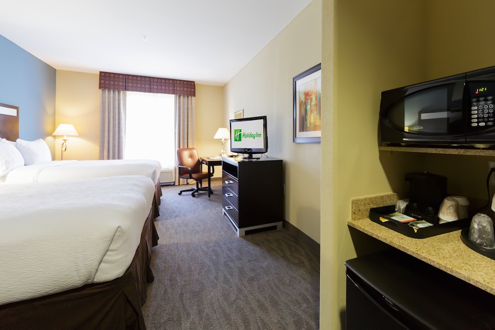 Holiday Inn Houston Webster by IHG - photo 14