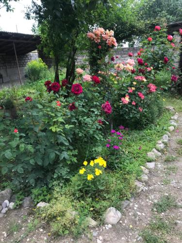 Guesthouse Kistauri