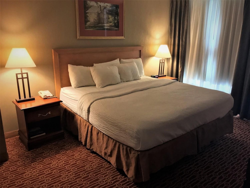 Host Inn All Suites - photo 9