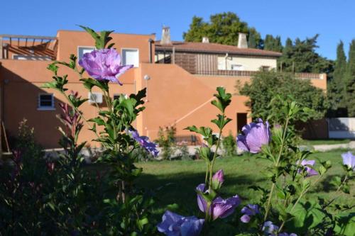 Banyuls — hotel in Latour-Bas-Elne