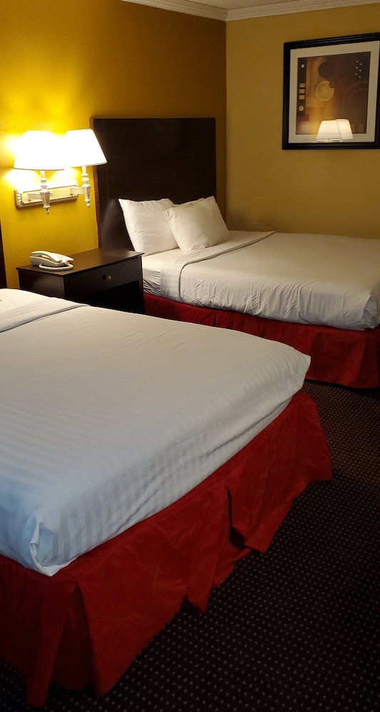 Sweet Dream Inn - photo 7