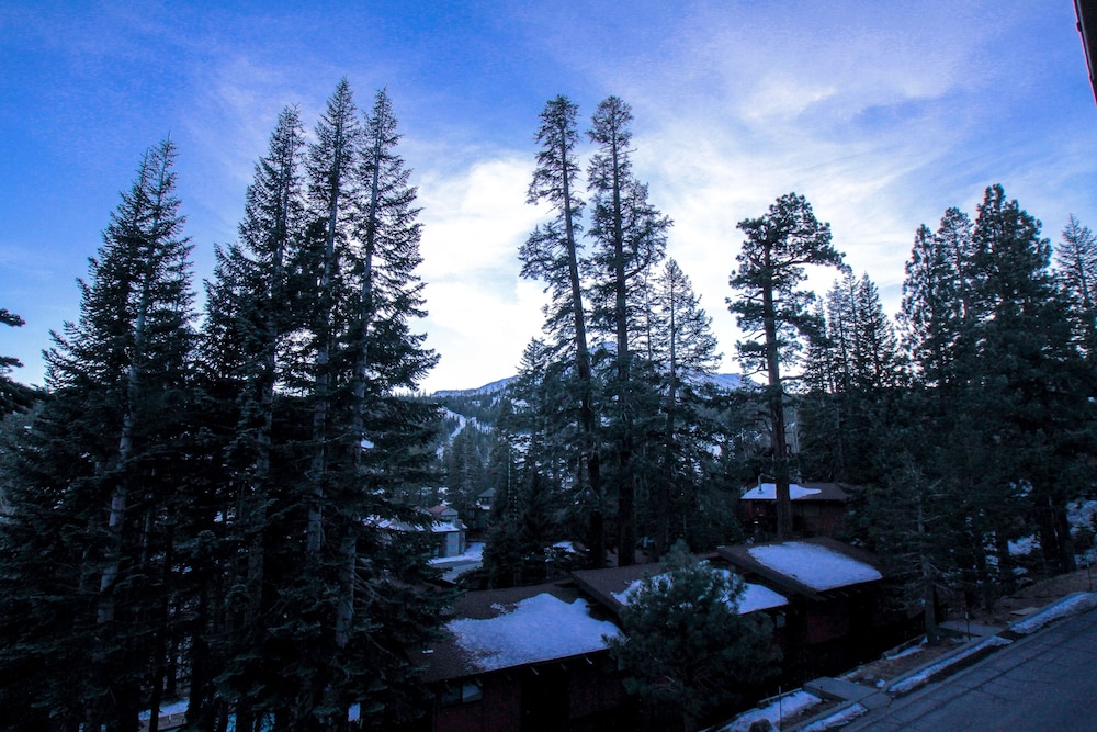 Mammoth Ski & Racquet Club - photo 68