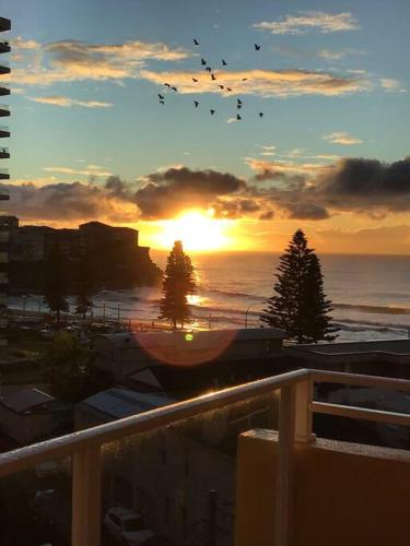 SeaDreams Beachfront Manly — Manly — photo 3