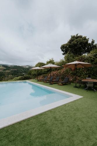 Casa de Greire — 4-Star Luxury Hotel in Castelo De Paiva, Portugal