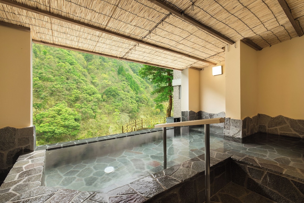 Entaijiso — hotel in Kurobe-Shi