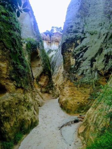 Sand Pebbles - photo 32