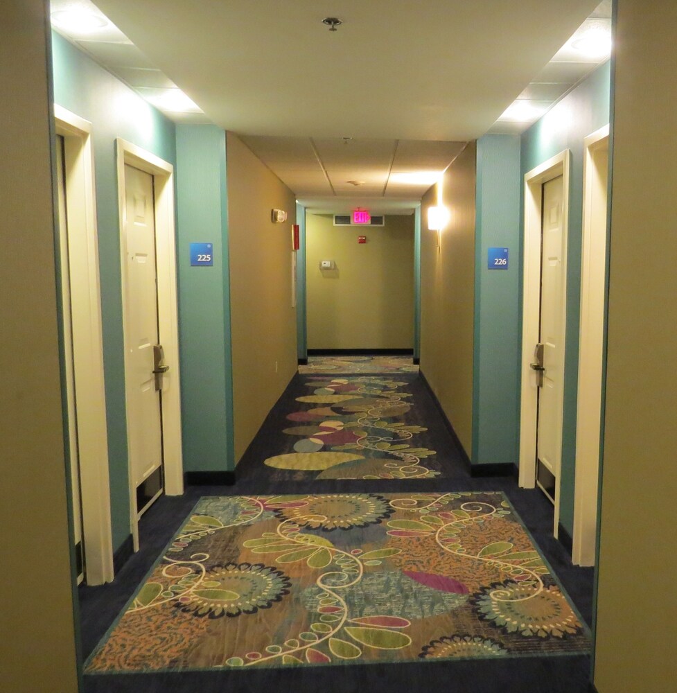 Holiday Inn Express Clermont by IHG - photo 26