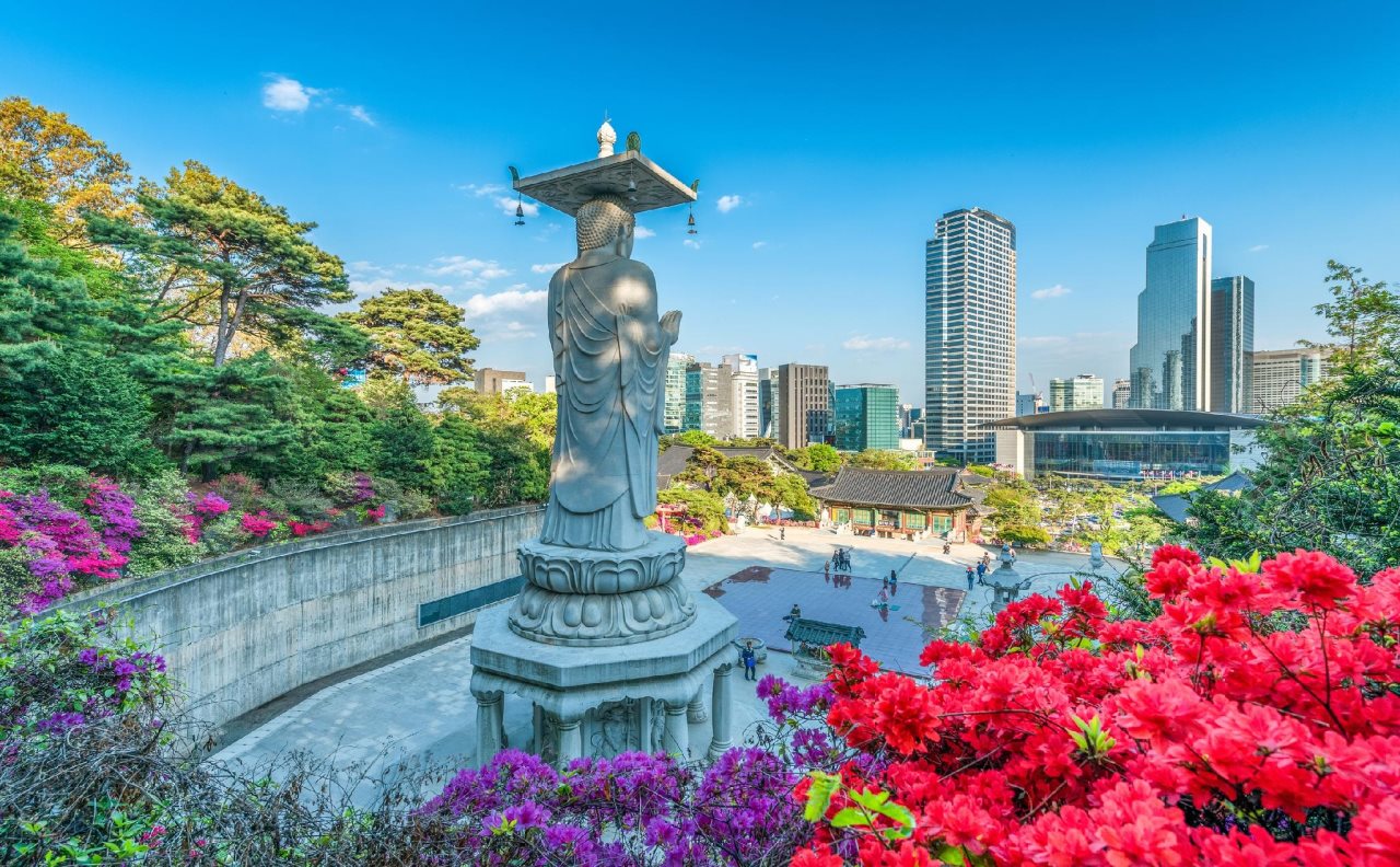 Tea Tree — Seoul — photo 5