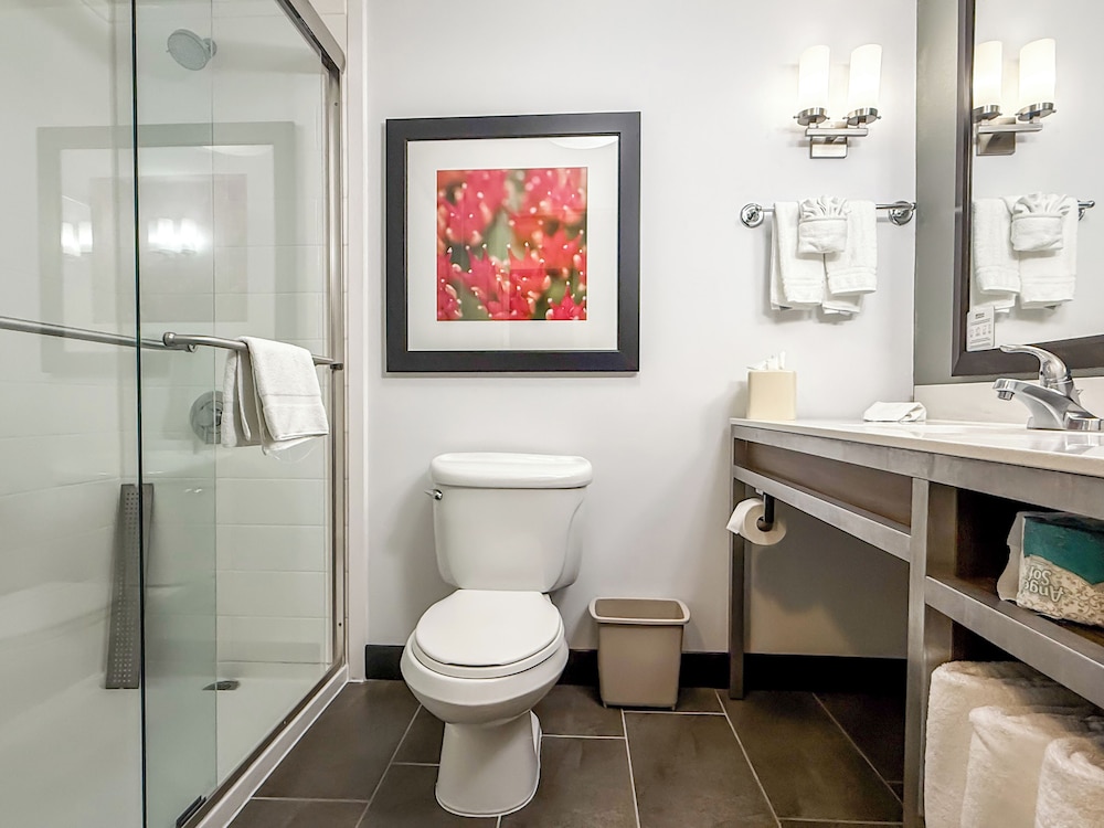 Hilton Garden Inn Gilroy - photo 23
