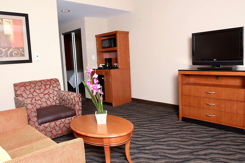 Hilton Garden Inn Chesapeake Suffolk - photo 19