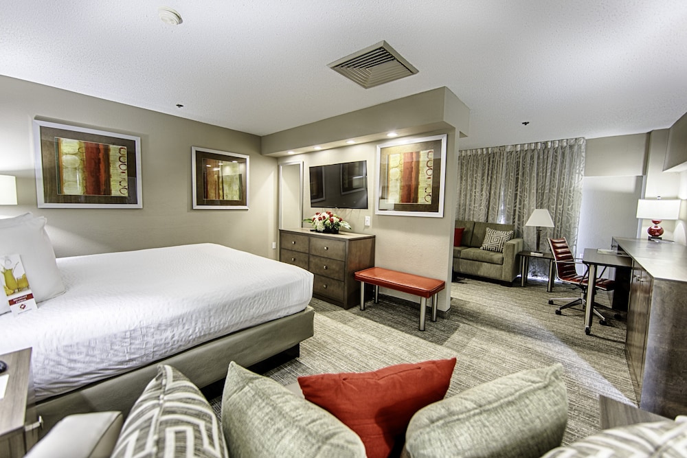 Hotel Capstone - photo 12