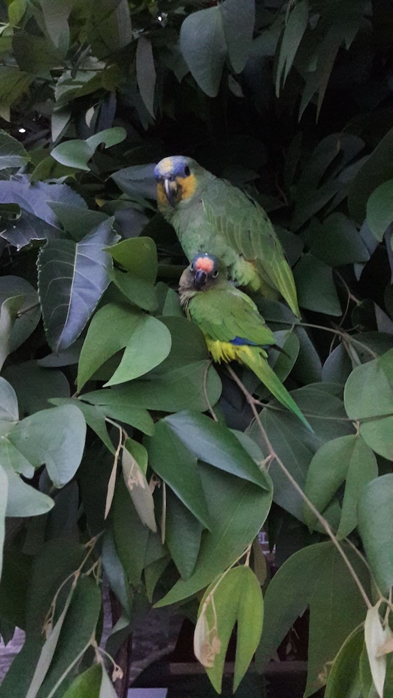 Recanto Sapoti in Barreirinhas, Brasil
