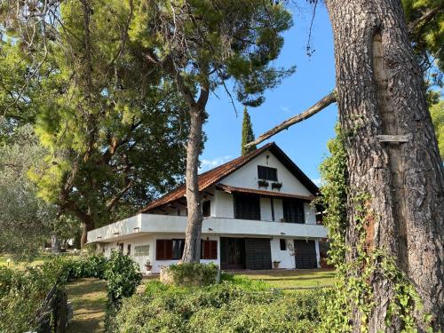 Wild Oaks Cottage — 4-Star Luxury Hotel in Kassandreia, Greece