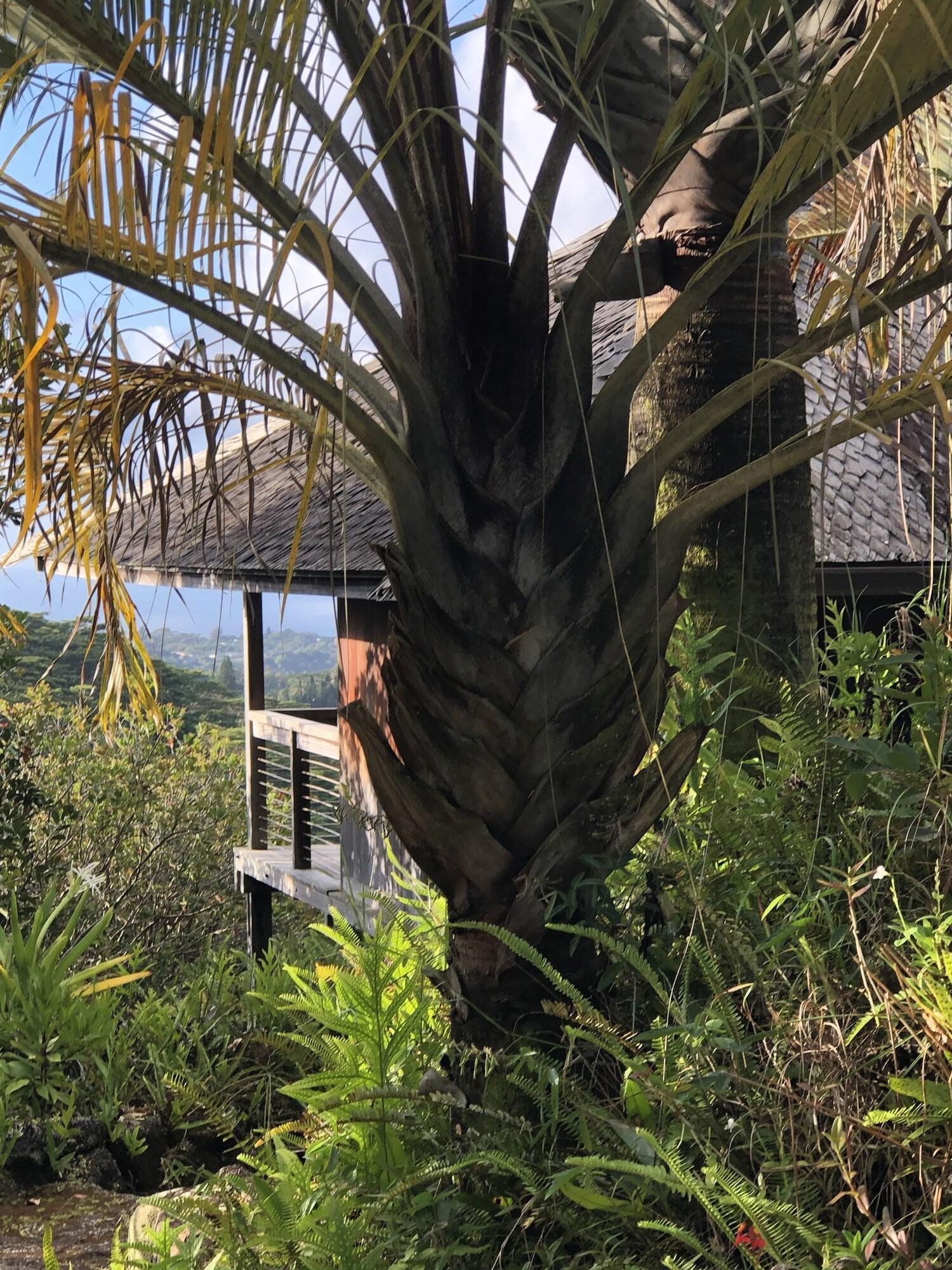 O'Luina — 4-Star Luxury Hotel in Lawai, United States
