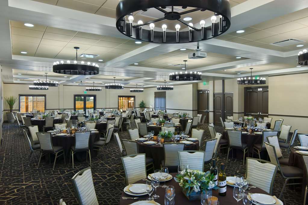 Oxford Suites Sonoma County - photo 22