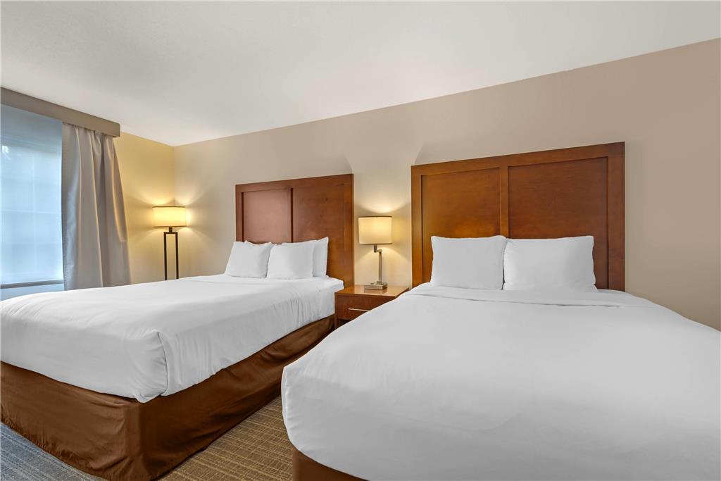 Comfort Inn & Suites Carbondale on the Roaring Fork - photo 27