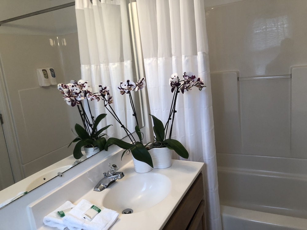 Hyannis Inn - photo 37