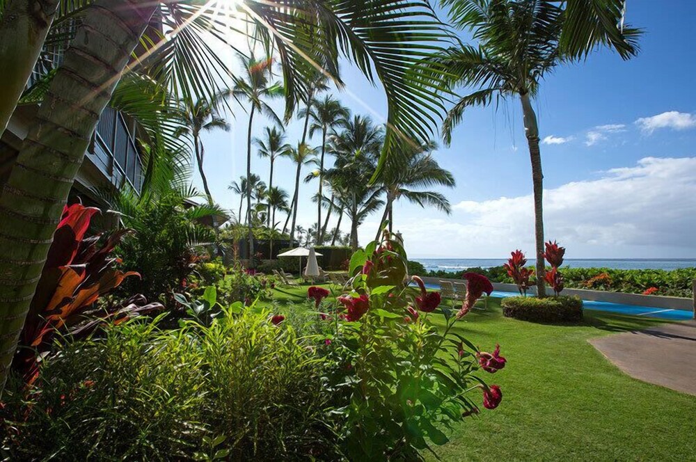 Hale Napili - photo 27