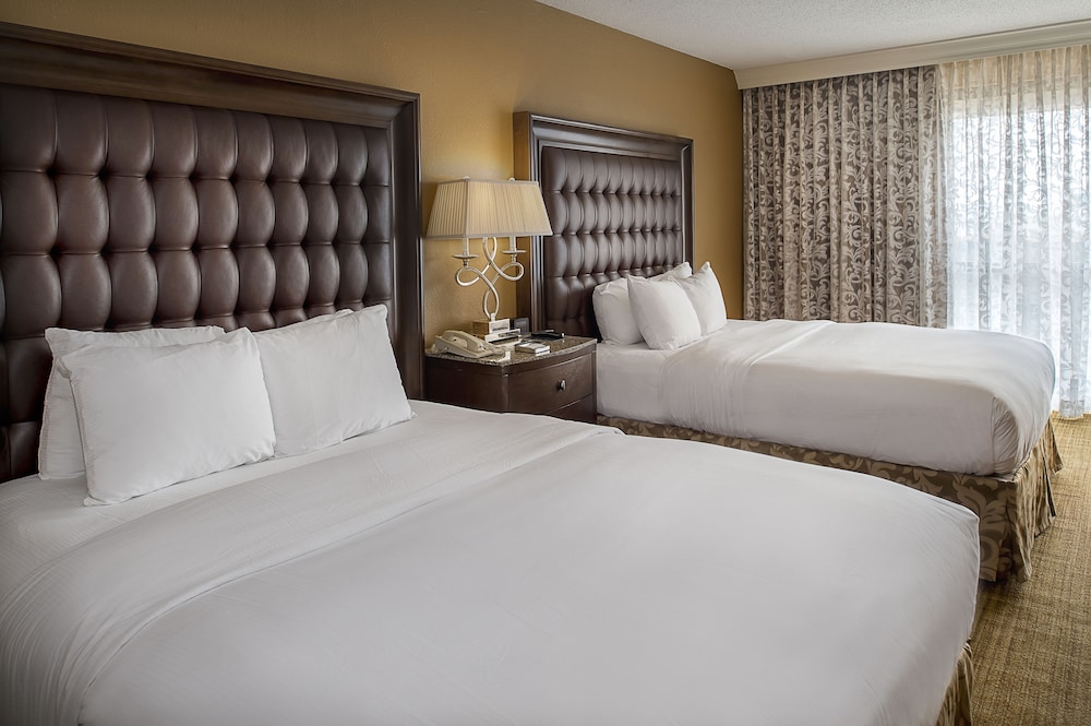 Hilton St. Louis Airport - photo 4