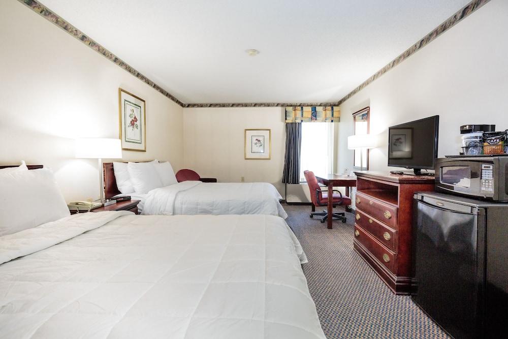 The View Inn & Suites - photo 6