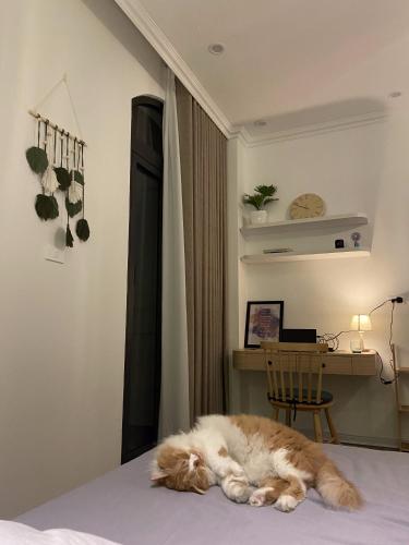 Nhà Lá Ocean Park 2 in Hoa Binh, Vietnam