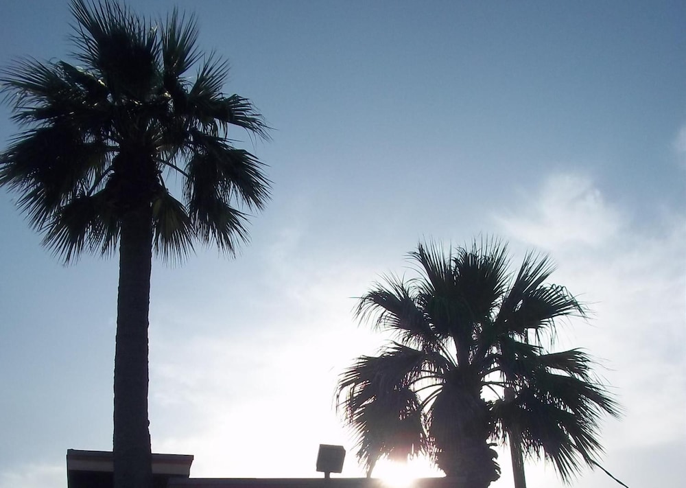 Whispering Palms Inn - photo 24