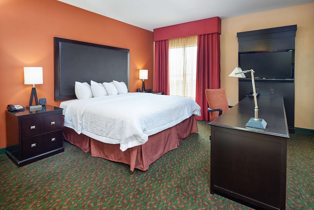 Hampton Inn & Suites Waco South - photo 16