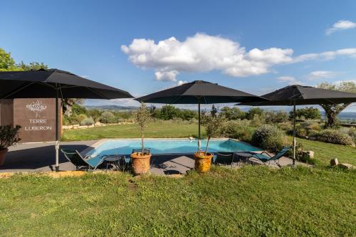 Terre Luberon in Pertuis, France