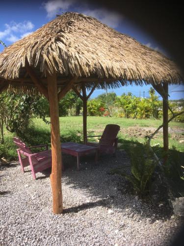 Fleur de Tiare in Grand-Bourg, Guadeloupe