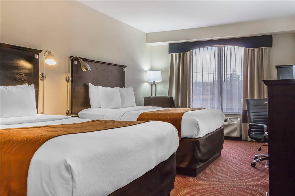 Comfort Inn & Suites LaGuardia Airport - photo 17