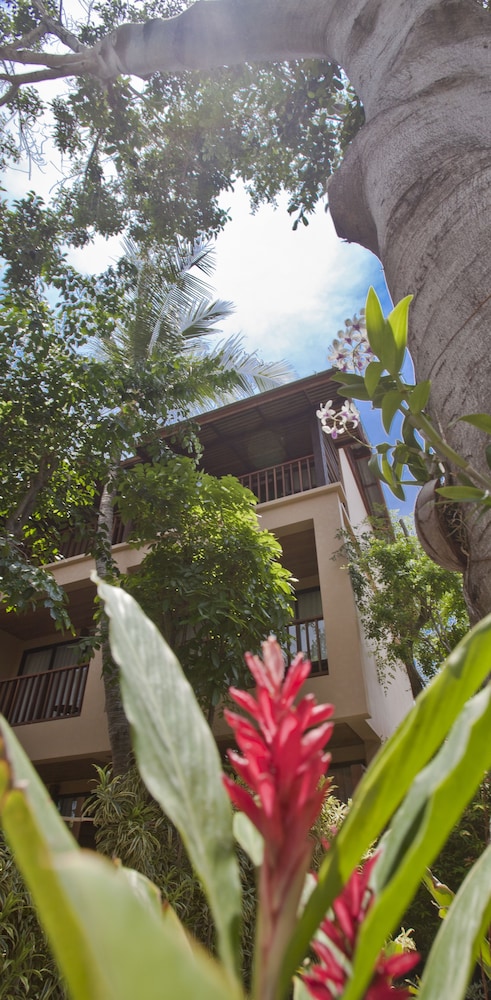 שטחי חוץ / גן